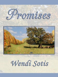 Promises WordPress Blog